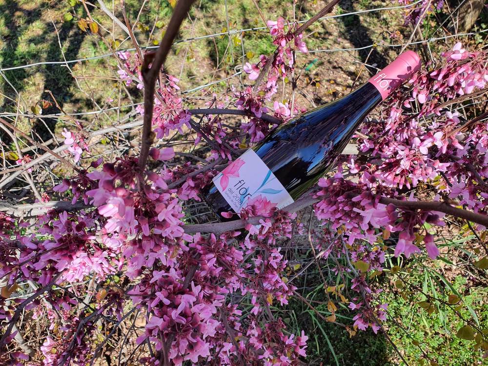 Botella de Flor Señorío de Orán entre flores de almendro